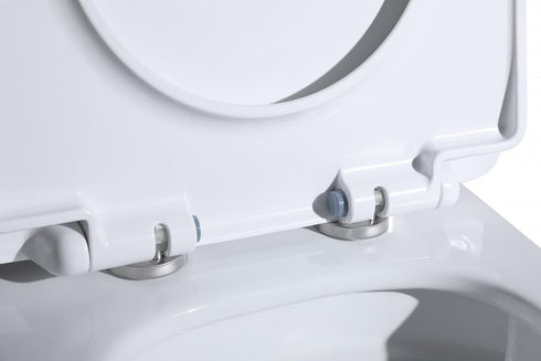 Elegant Lighting Winslet One piece Elongated Toilet 28x15x30 Inch in White Model: TOL2001