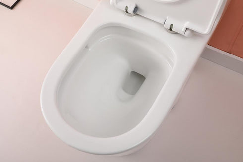 Elegant Lighting Winslet One piece Elongated Toilet 28x15x31 Inch in White Model: TOL2004