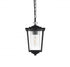 Elegant Lighting York 7 inch Outdoor Pendant in Black Model: OD305H13BK