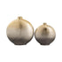 Elk Alana VASE JAR BOTTLE in Gold Finish Model: H0807-9273/S2