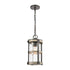 Elk Annenberg 8 Inch Wide 1 Light Outdoor Pendant in Anvil Iron Model: 89147/1