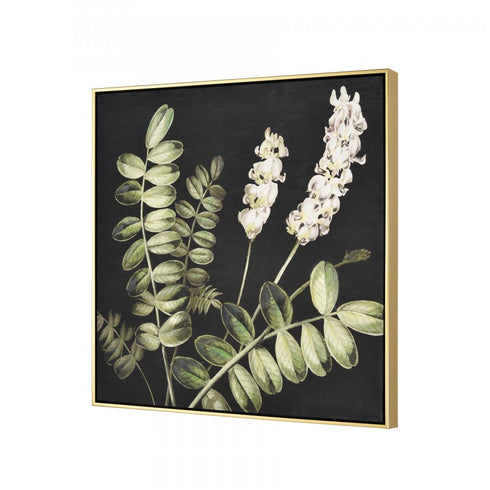Elk Botanical Study II Framed Wall Art in Green Finish Model: S0016-10169