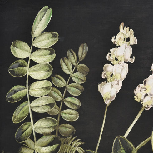 Elk Botanical Study II Framed Wall Art in Green Finish Model: S0016-10169