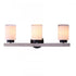 Elk Briggs 24 Inch Wide 3 Light Vanity Light in Black Model: 85441/3