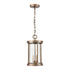 Elk Brison HANGING in Vintage Brass Finish Model: 89395/2