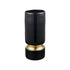 Elk Brooke Vase Medium (2 pack) (2 pack) in Black Finish Model: S0014-10109