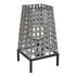 Elk Carus TABLE LAMP in Gray Finish Model: H0019-8579