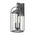 Elk Catalonia 19 Inch High 2 Light Outdoor Sconce in Distressed Zinc Model: 69730/2