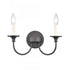 Elk Cecil 14 Inch Wide 2 Light Vanity Light Matte Black Model: 89731/2
