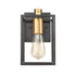 Elk Cloe VANITY LIGHT in Matte Black Finish Model: 46630/1