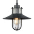 Elk Coastal Farm HANGING in Charcoal Finish Model: 69375/1