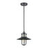 Elk Coastal Farm HANGING in Charcoal Finish Model: 69375/1