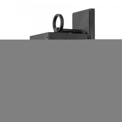 Elk Dalton 13 Inch High 1 Light Outdoor Sconce in Textured Black Model: 69701/1