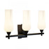 Elk Fleur 25.25 Inch Wide 3 Light Vanity Light in Chrome Model: 8177-CH-MO