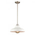 Elk Grenville 13'' Wide 1 Light Pendant Brushed Model: 89424/1