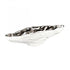 Elk Halford BOWL TRAY in Matte White Finish Model: H0017-9161