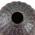 Elk Hawley VASE JAR BOTTLE (4 pack) (4 pack) in Multicolor Finish Model: S0017-9195