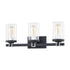 Elk Holdfast VANITY LIGHT in Charcoal Finish Model: 47582/3