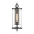 Elk Hopkins 20.25 Inch High 1 Light Outdoor Sconce Charcoal Black Model: 89492/1
