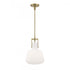 Elk Izel 12 Inch Wide 1 Light Pendant in Antique Brass Model: 4651-AN-MO