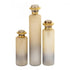 Elk Judie VASE JAR BOTTLE (2 pack) (2 pack) in Frosted Ombre Finish Model: H0807-8736/S3