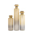Elk Judie VASE JAR BOTTLE (2 pack) (2 pack) in Frosted Ombre Finish Model: H0807-8736/S3