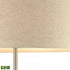 Elk Katwijk 64 Inch High 1 Light Floor Lamp Nickel Includes LED Bulb in Polished Concrete Finish Model: D3452-LED
