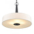 Elk Leo 22'' Wide 4 Light Pendant Matte Black Model: 89835/4