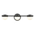 Elk Nelly 22 Inch Wide 3 Light Vanity Light in Matte Black Model: 81592/LED