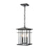 Elk Oak Park HANGING in Matte Black Finish Model: 89365/3