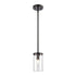 Elk Oakland MINI PENDANT in Black Finish Model: CN290156