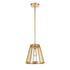 Elk Open Louvers 10 Inch Wide 1 Light Pendant in Champagne Gold Model: 82105/1
