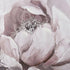 Elk Petal Study WALL ART in Pink Finish Model: S0016-8164