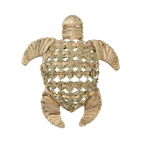 Elk Ridley Turtle Object Small in Natural Model: S0067-11273