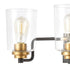 Elk Robins VANITY LIGHT in Matte Black Finish Model: 46612/3