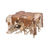 Elk Root COFFEE TABLE in Natural Finish Model: 7117523