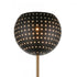 Elk Scarab SCONCE in Satin Brass Finish Model: D4652