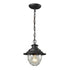 Elk Searsport HANGING in Weathered Charcoal Finish Model: 45041/1