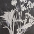 Elk Silhouette IV Framed Wall Art in Black Finish Model: S0056-10632