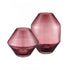 Elk Sofia Vase Large (2 pack) (2 pack) in Maroon Finish Model: S0014-10114