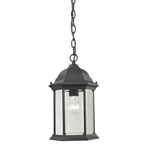 Elk Spring Lake HANGING in Matte Textured Black Finish Model: 8601EH/65