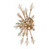 Elk Starburst 26 Inch High 4 Light Sconce in Satin Brass Model: 12763/4