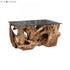 Elk Teak Root COFFEE TABLE in Natural Finish Model: 7117514