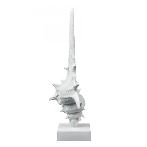 Elk Tigertail Shell in Textured White Model: S0037-11316
