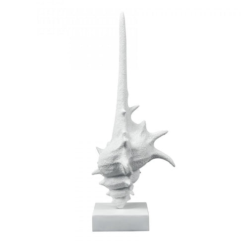 Elk Tigertail Shell in Textured White Model: S0037-11316