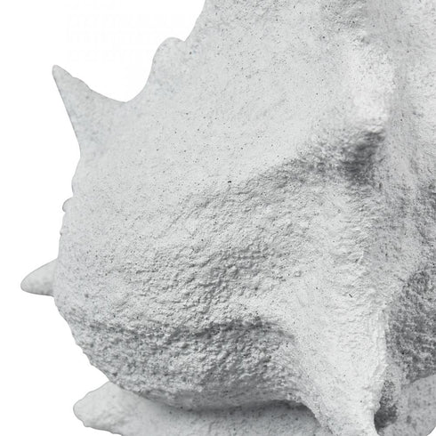 Elk Tigertail Shell in Textured White Model: S0037-11316