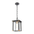 Elk Vincentown HANGING in Matte Black Finish Model: 46723/1