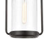 Elk Wexford HANGING in Matte Black Finish Model: 46672/1
