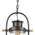 Elk Wexford HANGING in Matte Black Finish Model: 46672/1