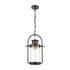 Elk Wexford HANGING in Matte Black Finish Model: 46672/1